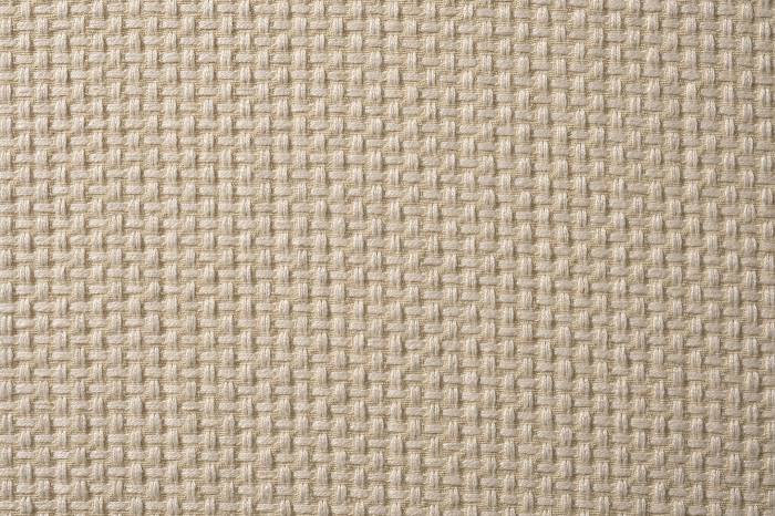 161QH-19301-BOTEGA SVBEG Ткань