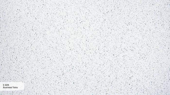 E 609 Японский Агат / Business Tokio