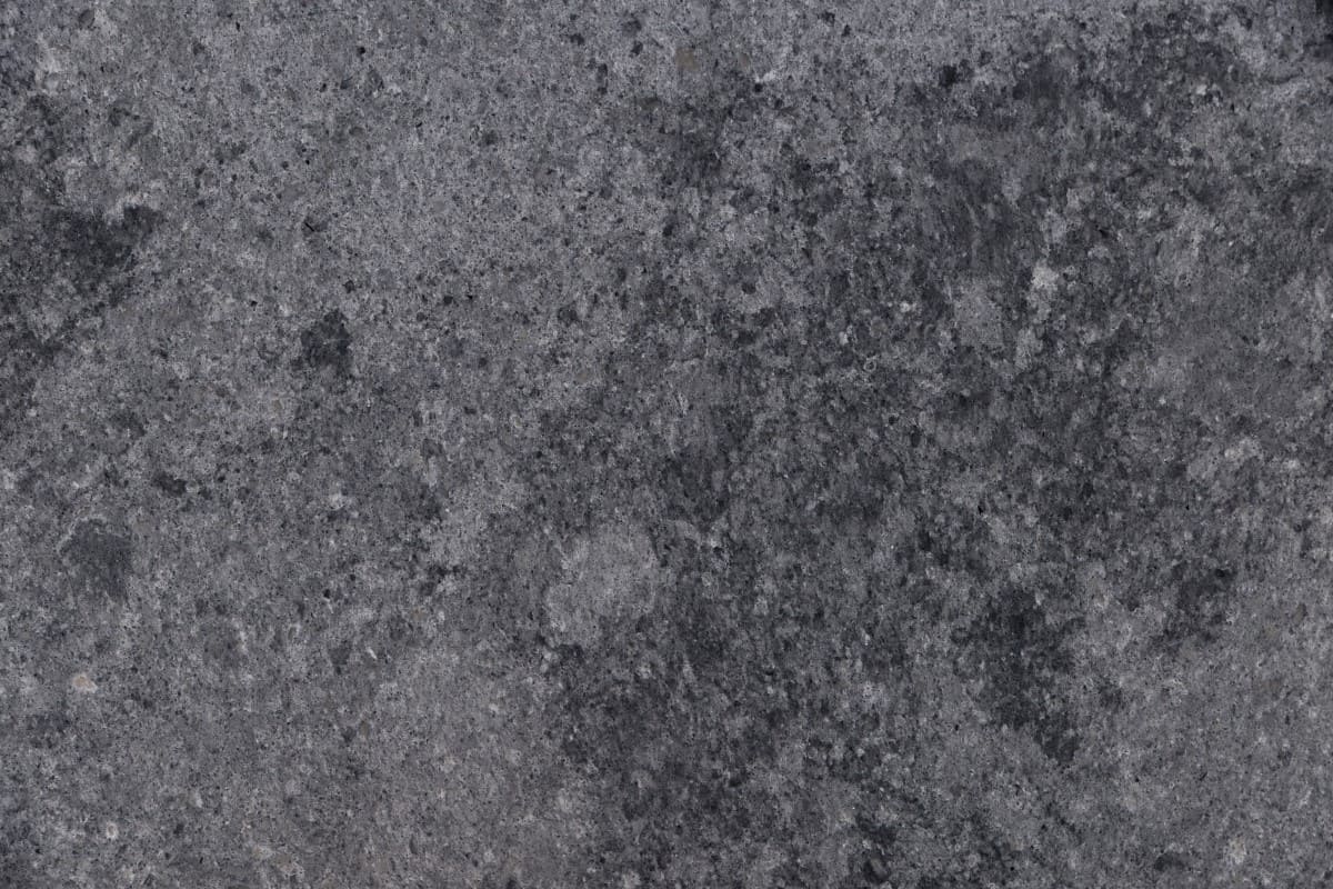 Sesame Grey EQHG 004