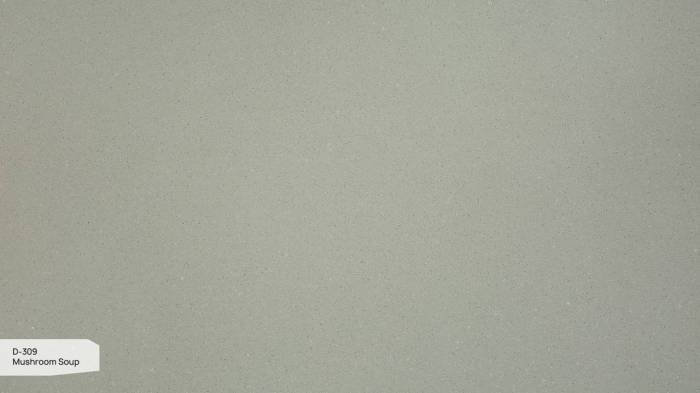 D 309 Грибной Суп / Mushroom Soup