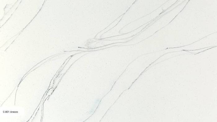 C 801 Ареццо / Arezzo