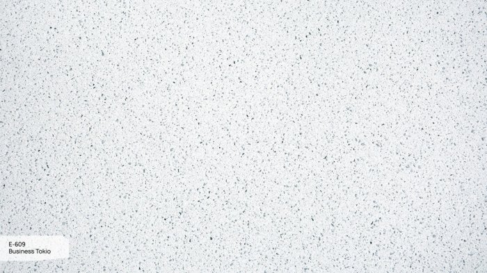 E-609 Business Tokio