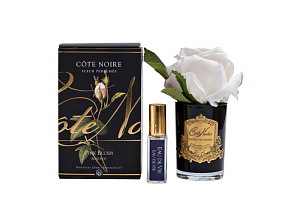 96CN-R4200 Диффузор Rose Bud White, спрей Eau de vie 5мл в упак.