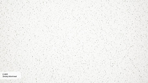 E-603 Snowy Moscow