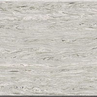 Vicostone BQ9610 Acacia