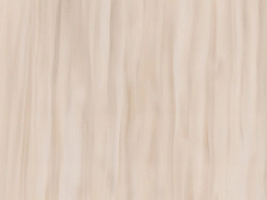  Beech Nuwood