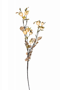 9F78731-WH Ветка с плодами шиповника 74см (24)