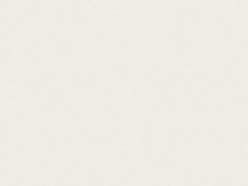 Ice White