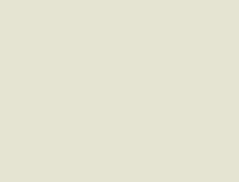 SI040 Solid Ivory
