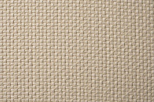 161QH-19301-BOTEGA SVBEG Ткань БОТЕГА СВ БЕЖ