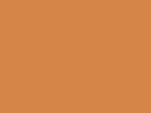  Citrus Orange