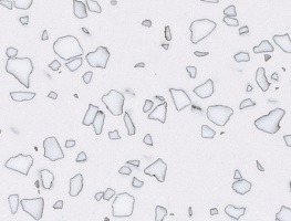 QD212 Mosaic Dalmatian