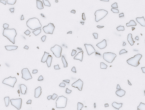 QD212 Mosaic Dalmatian