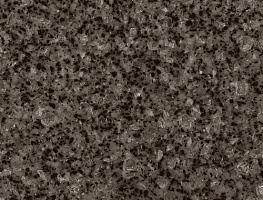 FZ184 Tempest Zenith