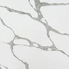 Vicostone BQ8920 Forze