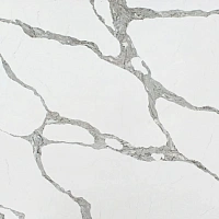 Vicostone BQ8920 Forze