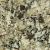 Silestone Giallo Nova