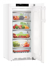 Однокамерный холодильник Liebherr BP 2850