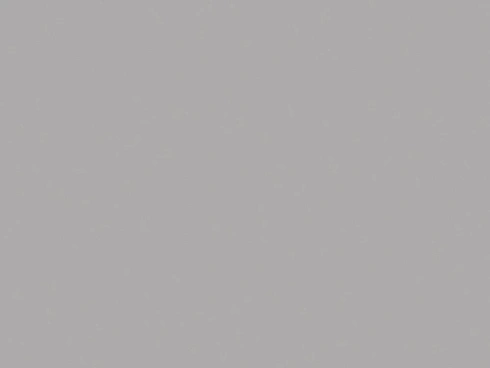 Silver Gray