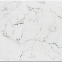 Vicostone BQ8628 Statuario