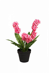 8J-K0013/1 Гиацинт в горшочке розовый 40 см (6)
