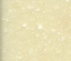 AS642 Aspen Seashell