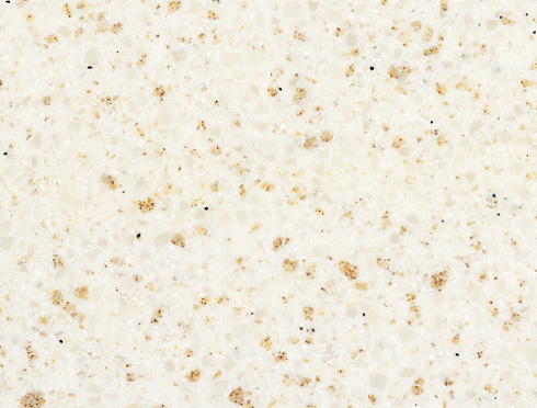 TO310 Quarry Oyster