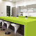 P 427 Дикий Лайм / Green Lime
