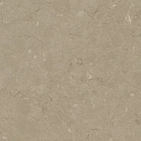 Silestone Coral Clay