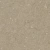 Silestone Coral Clay
