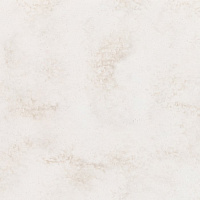 VR173 Supreme Rainer