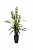 29BJ-911-33 Орхидея CYMBIDIUM искусств. лаймовая в горшке h110 см
