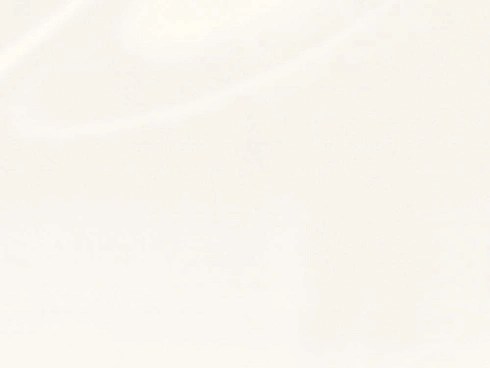  Venaro White