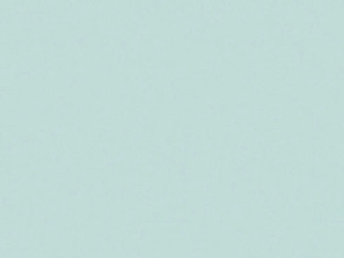  Mint Ice
