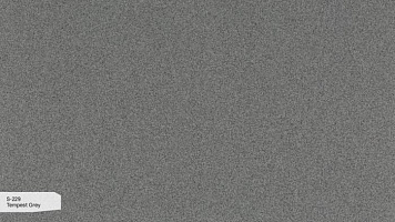 S 229 Пепельный Шторм / Tempest Grey