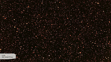 E-614 Marrakesh Plaza