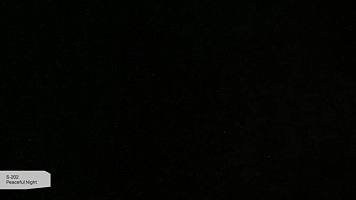 S 202 Peaceful Night