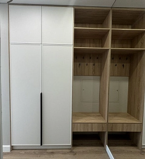 Шкаф в прихожую ЖК Дежнев